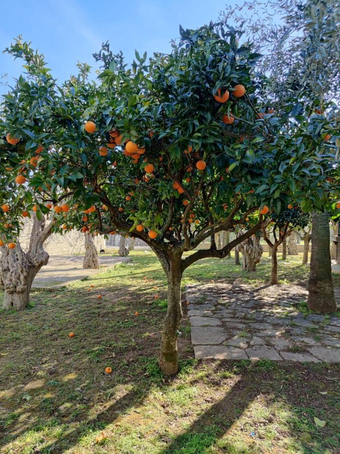 Cambiocavallo Resort Modica Dış mekan fotoğraf