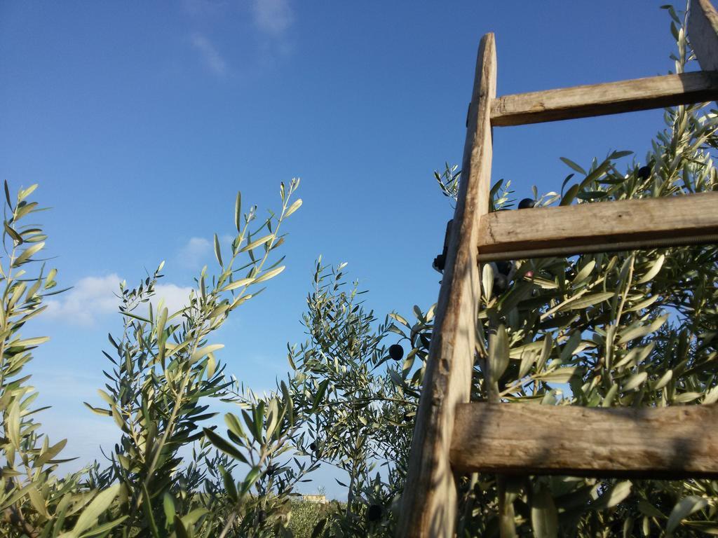 Cambiocavallo Resort Modica Dış mekan fotoğraf